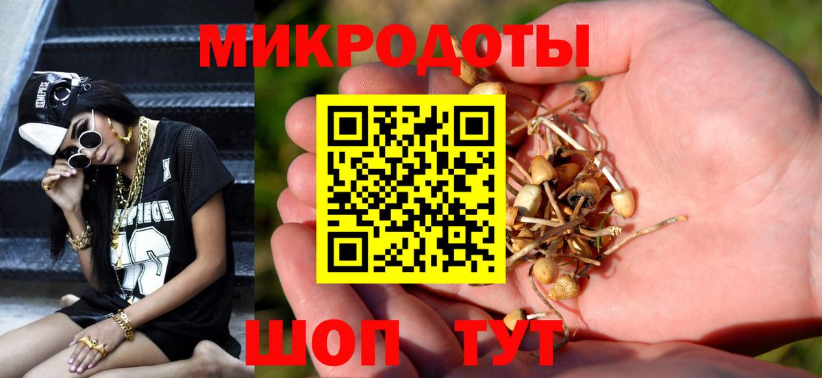 Галлюциногенные грибы Cubensis Балашиха