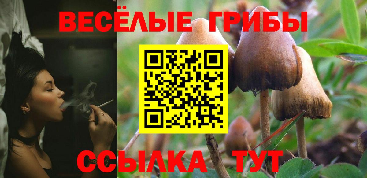 Балашиха  Галлюциногенные грибы MAGIC MUSHROOMS  Галлюциногенные грибы ЛСД  Вход с VPN 