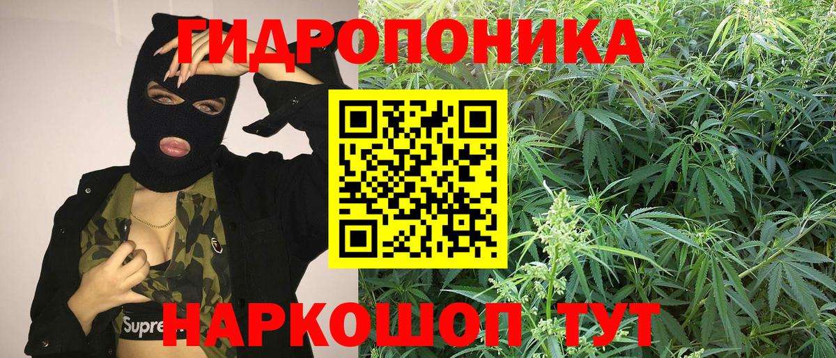 Бошки Шишки OG Kush Балашиха